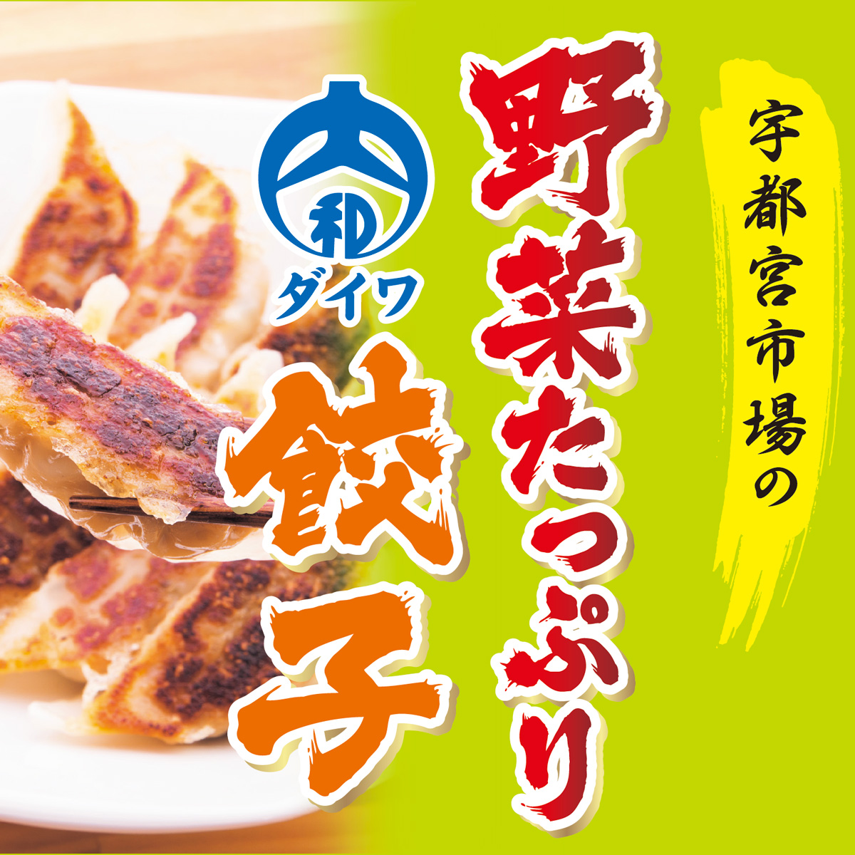 野菜たっぷり餃子 22g×24個入り