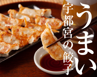 うまい宇都宮の餃子